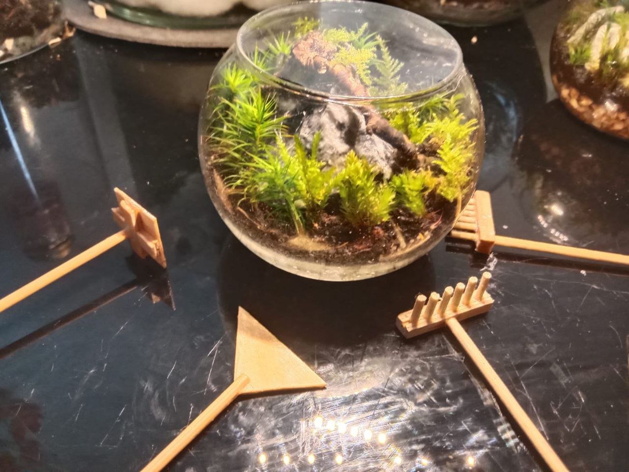 A lush, spherical terrarium bursts with moss, rocks, and natural textures, resembling a tiny forest landscape. Surrounding the glass bowl are small, handcrafted wooden tools—mini rakes and spades—suggesting the art of mindful tending. This charming scene blends nature and craftsmanship, offering a peaceful, hands-on experience perfect for zen gardening or decorative inspiration.