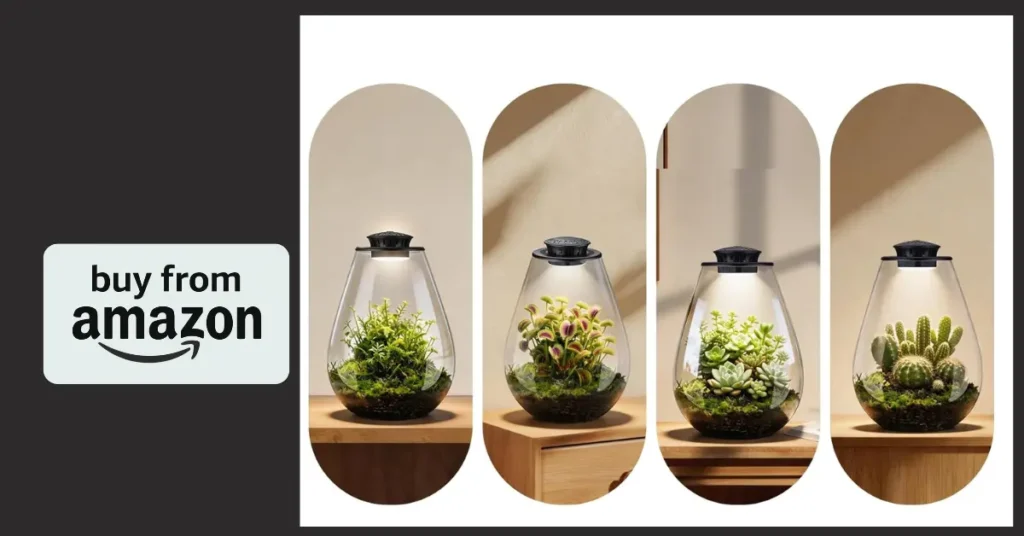 A Glass Plant Terrarium with LED Grow Light That Keeps Carnivorous Plants Alive on Your Desk a glass plant terrarium with led grow light that keeps carnivorous plants alive on your desk