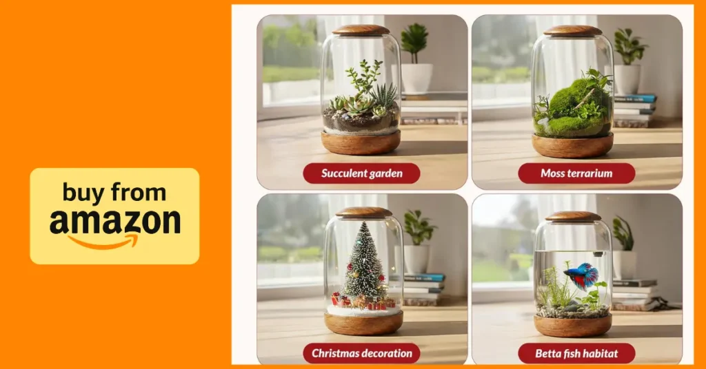 Is the NoctisCorvus Exclusive Glass Terrarium Worth Your Desk Space? exclusive glass terrarium