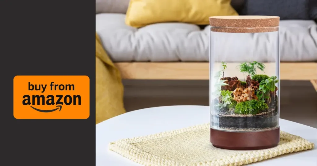 The Clear Glass Houseplant Terrarium Planter Is the Minimalist Desk Upgrade You Need the clear glass houseplant terrarium planter is the minimalist desk upgrade you need